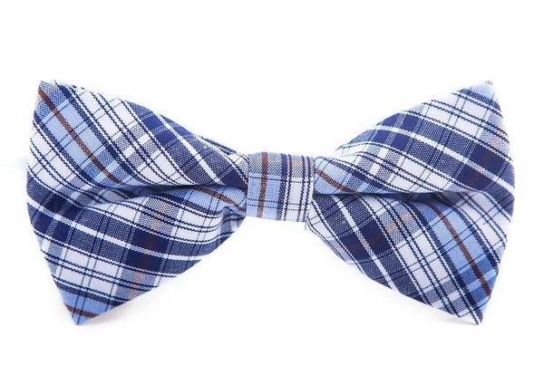 beyaz zemin üzerinde bir kafeste zarif mavi yay