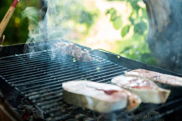 Летний пикник, свежий стейк из рыбы, смесь рыбы и мяса, гриль, уголь — стоковое фото