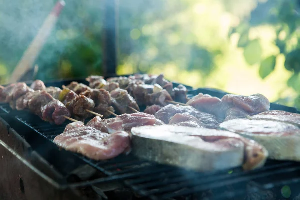 Ассорти курицы и свинины мясо и различные овощи на гриле для барбекю, приготовленные для летнего семейного ужина — стоковое фото