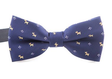 Simgeler yakın çekim mavi kravat. Beyaz arka plan üzerinde izole