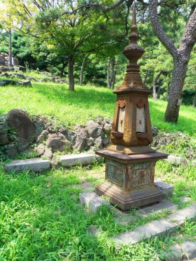 Olympus Dijital Kamera Işığı