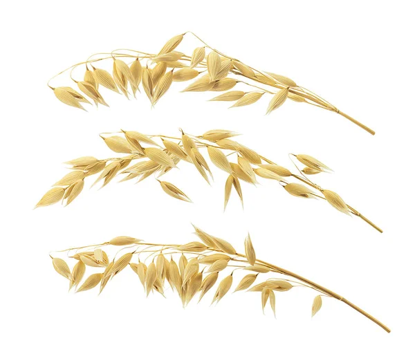 Triple oat ears set isolated on white background