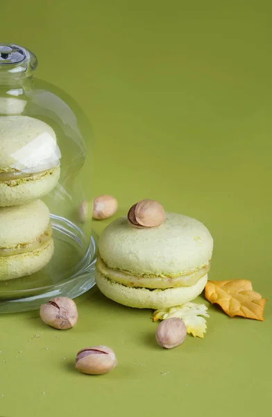 Pistachio macaroon on a green background — Stock Photo, Image