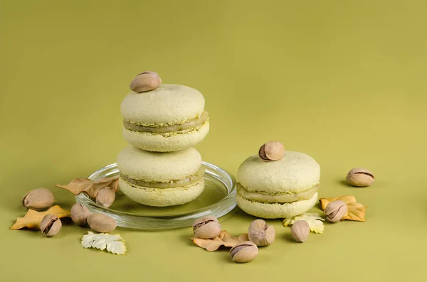 Pistachio macaroon on a green background — Stock Photo, Image