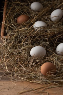 Samanlıkta tavuk yumurtası