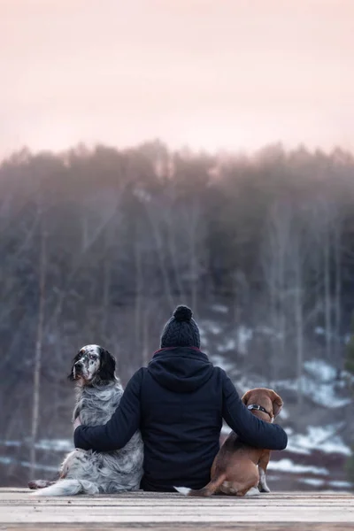 Hombre Mira Bosque Con Dos Perros —  Fotos de Stock