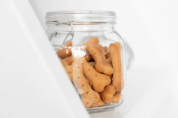dog cookies in a jar on a light background