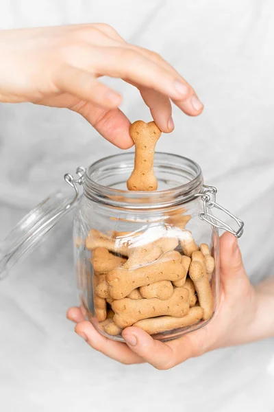 man holds dog cookies in the jar on a light background