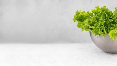 Hafif arka planda metal bir kasede marul yeşili.