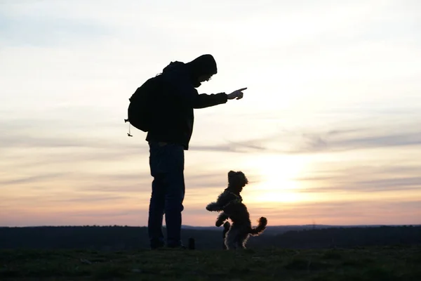 Silueta Hombre Perro Caniche Saltando Contra Atardecer Naranja — Foto de Stock