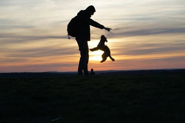 Silhouette Homme Son Chien Caniche Sautant Contre Coucher Soleil Orange — Photo