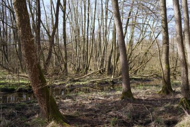 Suların yansımasıyla kışın bozkır manzarası                                    