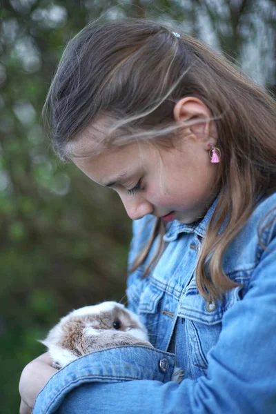 Portrait Young Blonde Girl Holding Gently Pet Bunny Rabbit Her — Stock Photo, Image