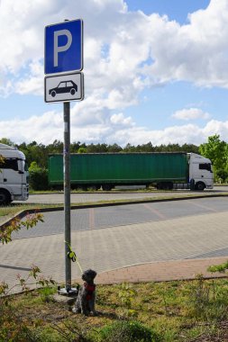 Terk edilmiş köpek otoban dinlenme yerindeki park yeri direğine bağlanmış. 