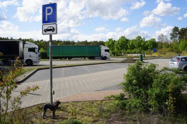 Terk edilmiş köpek otoban dinlenme yerindeki park yeri direğine bağlanmış.   