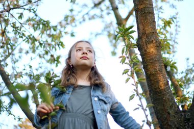 Gün batımında ağaca tırmanan sarışın bir kızın portresi.