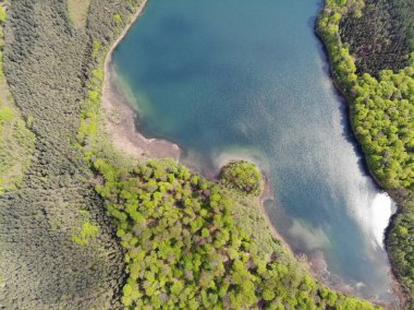 Stechlin koruma alanı Brandenburg Almanya 'sında bulunan kristal berrak Peetschsee' nin hava manzarası