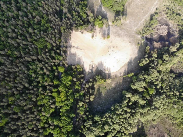 位于柏林Grunewald森林的面积约为13公顷的自然保护区Jagen 86沙坑的空中景观 它起源于一个以前的砾石坑 — 图库照片