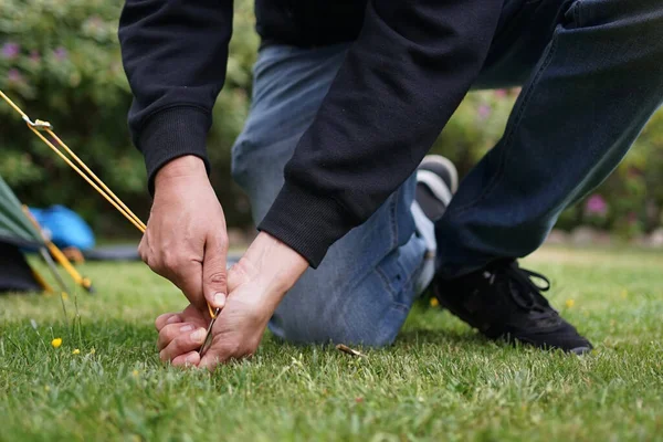 Närbild Manliga Händer Knutna Ner Ett Tält Gräs Bygga Ett — Stockfoto