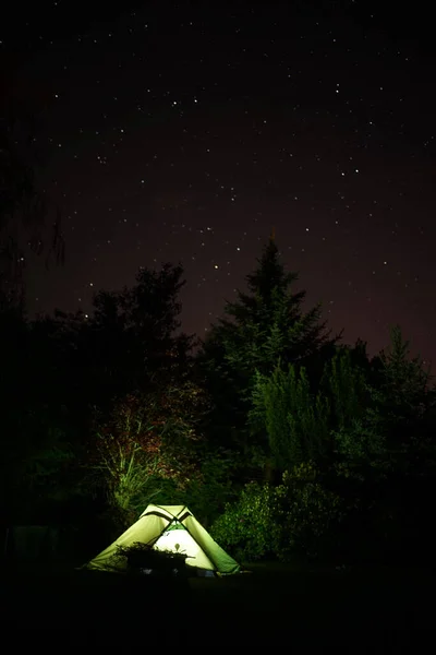 Illuminated green camping tent under star sky with  fir tree in background