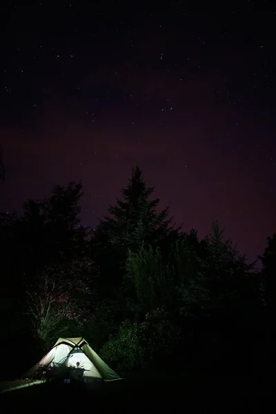 Illuminated green camping tent under star sky with  fir tree in background