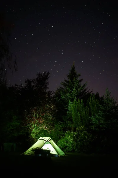 Belyst Grön Camping Tält Stjärnan Himlen Med Gran Bakgrunden — Stockfoto