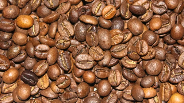 Coffee background. A mixture of different types of roasted coffee beans in bulk.