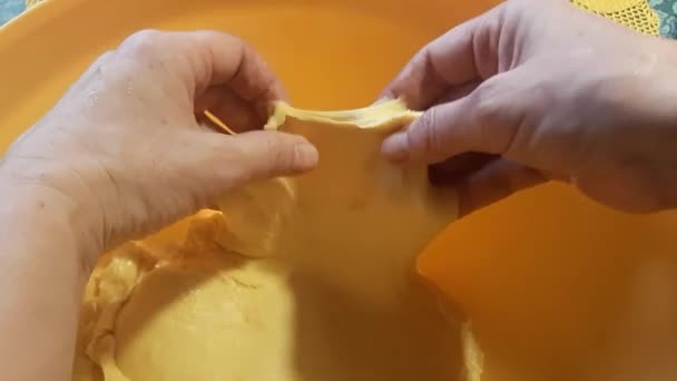 Home Baker Testing Qualtiy Mixed Dough Donuts Dough Elasticity Gluten — Stock Video