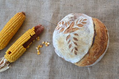 Ev yapımı kabuklu ekşi ekmek; arka planda mısır koçanı olan çuval bezi üzerinde taze pişmiş ekmek