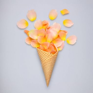 Yaratıcı natürmort 