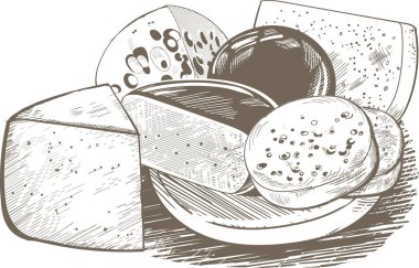 Peynir. Yaratıcı kavramsal vektör. Kroki elle çizilmiş peynir illüstrasyon, gravür, mürekkep, Hat sanatı, vektör.