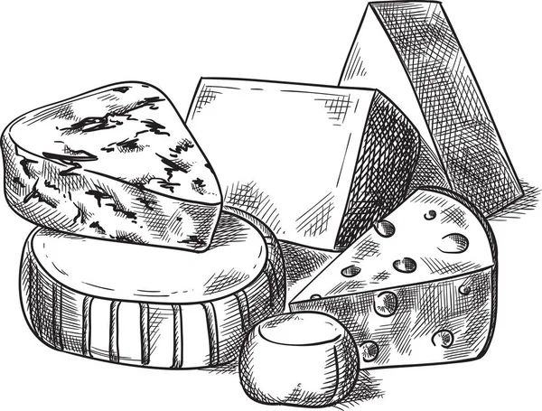 Cheeses. Creative conceptual vector. Sketch hand drawn cheese illustration, engraving, ink, line art, vector. — Stock Vector