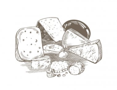 Cheeses.Creative kavramsal vektör. Kroki elle çizilmiş peynir illüstrasyon, gravür, mürekkep, Hat sanatı, vektör.