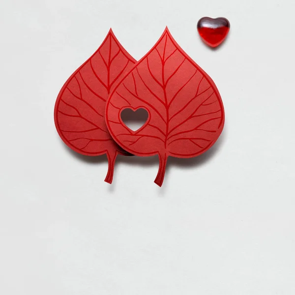 Ti voglio bene. Foto creativa di concetto di San Valentino di due foglie con cuore su sfondo bianco . — Foto Stock