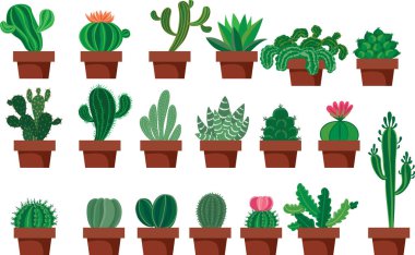 Kaktüs küme. Yaratıcı kavramsal vektör. Çizilmiş kaktüs seti.