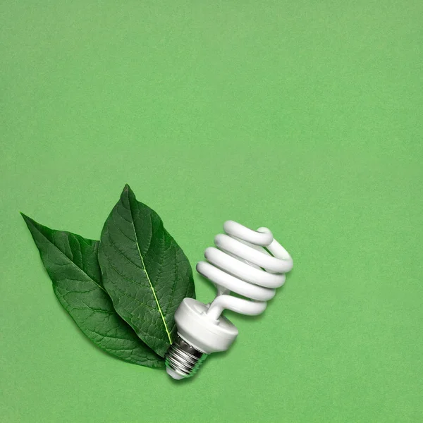Креативный Натюрморт Энергосберегающей Лампы Листьями Символ Защиты Окружающей Среды — стоковое фото