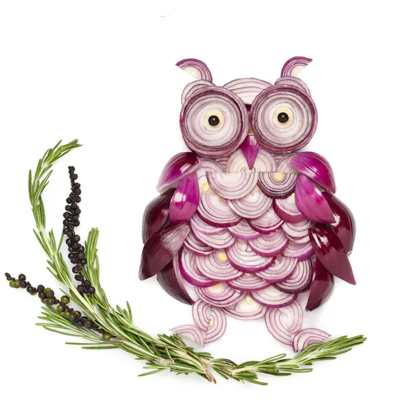 Owl Made Onion Sitting Branch — Stock Photo, Image