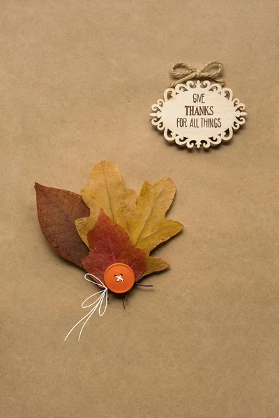 Creatieve Foto Thanksgiving Day Concept Voor Bladeren Bruine Achtergrond — Stockfoto