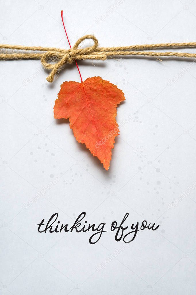 Creative thanksgiving day concept photo of leaf on grey background.