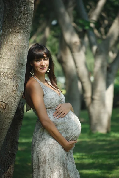 Усміхнена жінка очікує, що дитина стоїть на дереві і пестить живіт Стокове Фото