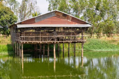 Yumurta tavukları çiftliği, kafes sanayi çiftliğinde tavuklar. Balık havuzlarında tavuk yetiştiriyorum..