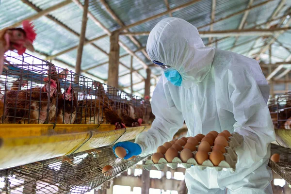 Gli Agricoltori Asiatici Indossano Indumenti Protettivi Ppe Diffondere Virus Della — Foto Stock