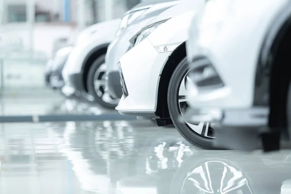 Satılık arabalar, otomotiv endüstrisi, araba galerisi otoparkı. Gıcır gıcır yeni araçlar yeni araba servisinin epoksi katında yeni sahiplerini bekliyor.