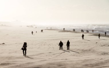 Güneşli bir günde Hollanda 'da fırtına rüzgarları eşliğinde sahilde siluetler.