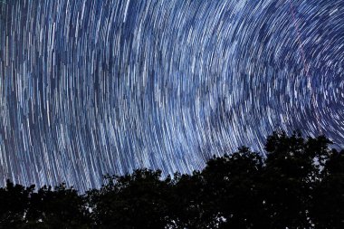 2012 yazında, Perseid meteor yağmurunun olduğu gece Hollanda 'da çok sayıda göktaşı görüldü.