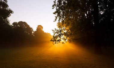 Vondelpark 'ta güzel bir gün batımı