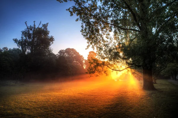 Красивый Закат Парке Вонделя — стоковое фото