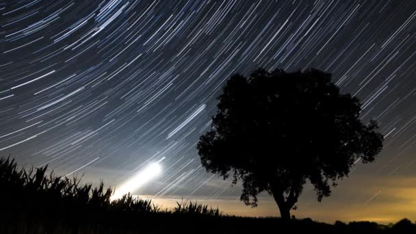 2012年夏のオランダでのペルセウス座流星群の夜の間の美しい画像は 多くの隕石を示しています — ストック動画