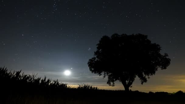 2012年夏のオランダでのペルセウス座流星群の夜の間の美しい画像は 多くの隕石を示しています — ストック動画