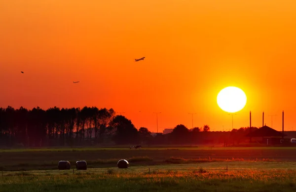 Pulsierender Sonnenuntergang Über Dem Feld — Stockfoto